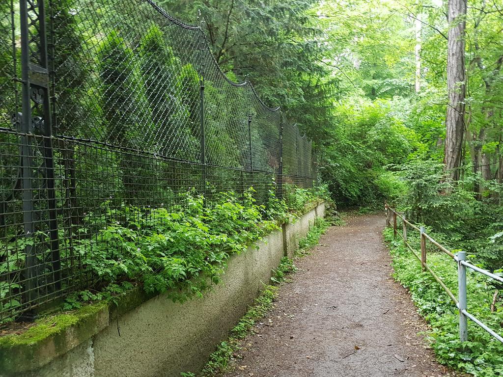 Helenental Pension & Apartments バーデン エクステリア 写真